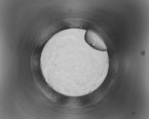 X0000115620215200912221235
