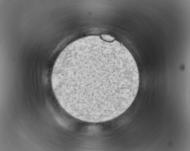 X0000115620216200912221235
