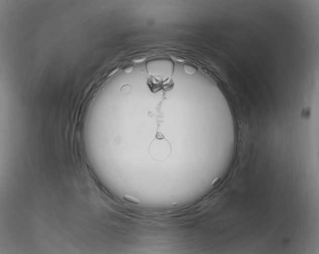 X0000115620217200912221235