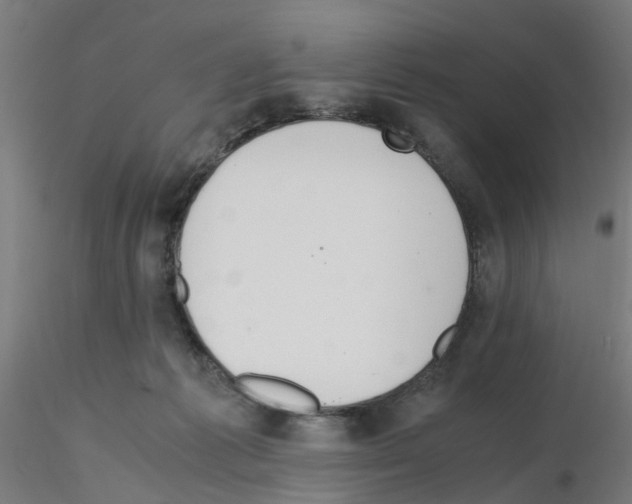X0000115620221200912221235