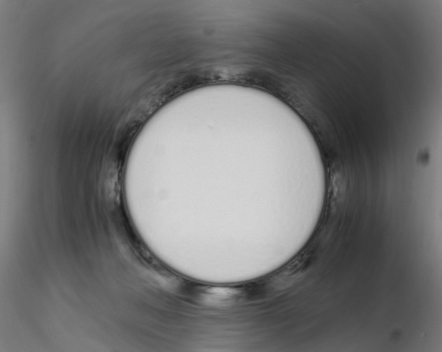 X0000115620222200912221235