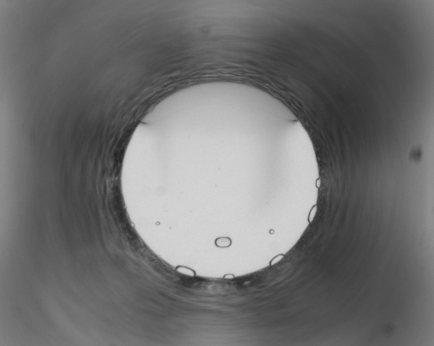 X0000115620223200912221235