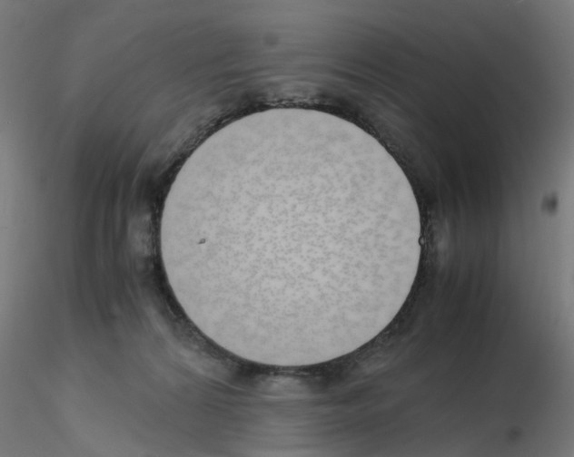 X0000115620224200912221235