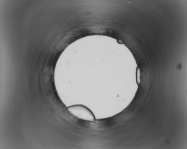 X0000115620229200912221235