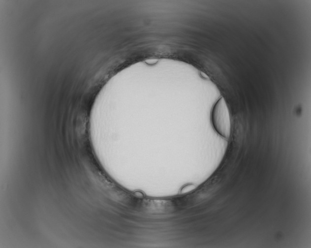 X0000115620230200912221235