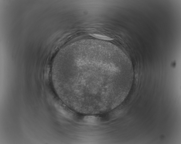 X0000115620231200912221235