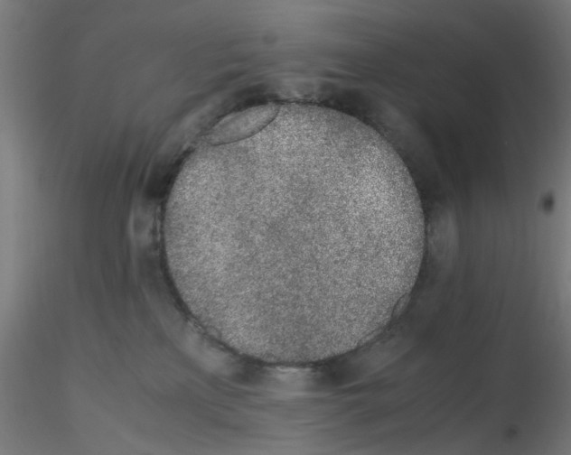 X0000115620233200912221235