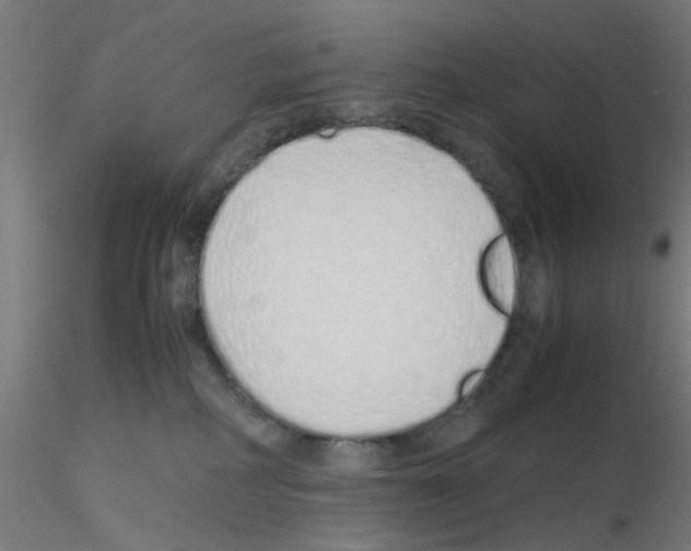 X0000115620234200912221235
