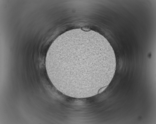 X0000115620236200912221235