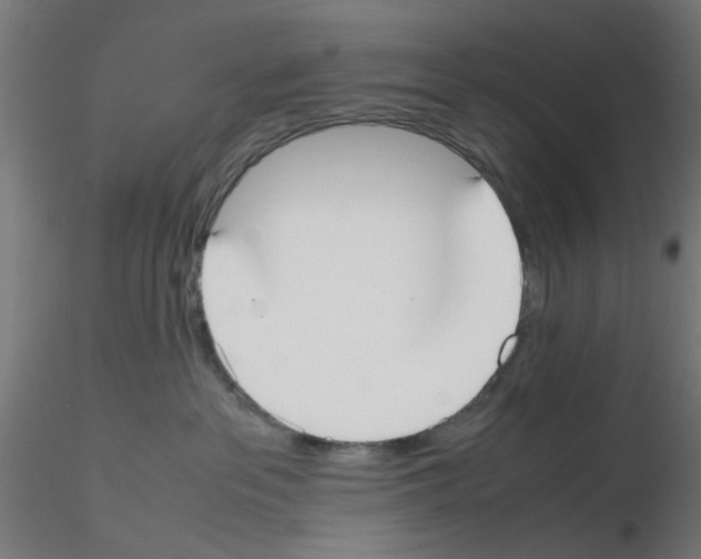 X0000115620237200912221235