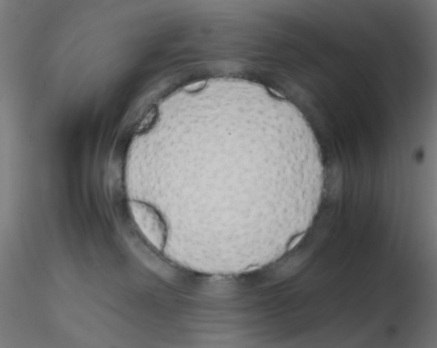X0000115620238200912221235