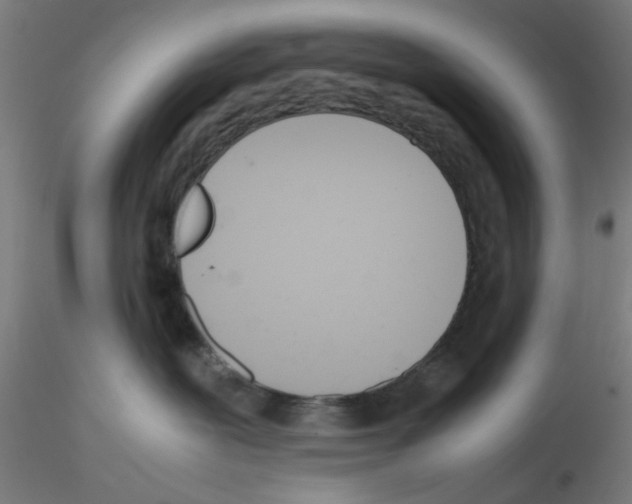 X0000115620239200912221234