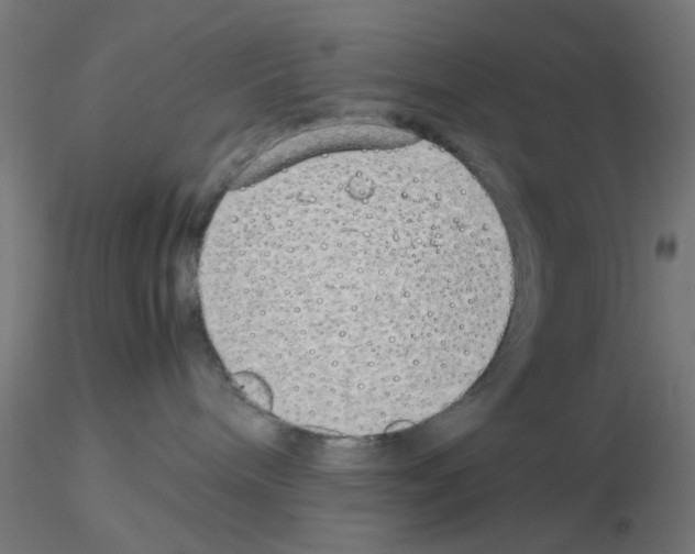 X0000115620240200912221234