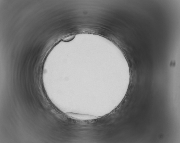 X0000115620241200912221234