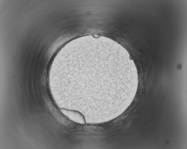 X0000115620242200912221234