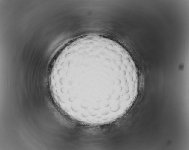 X0000115620243200912221234