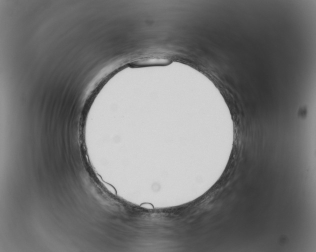 X0000115620244200912221234