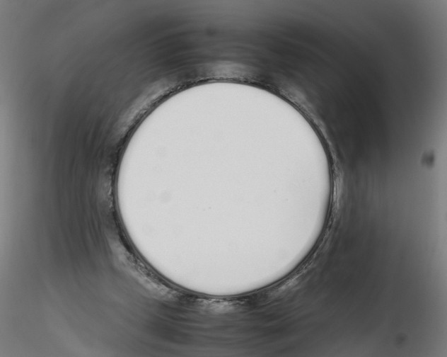X0000115620249200912221234