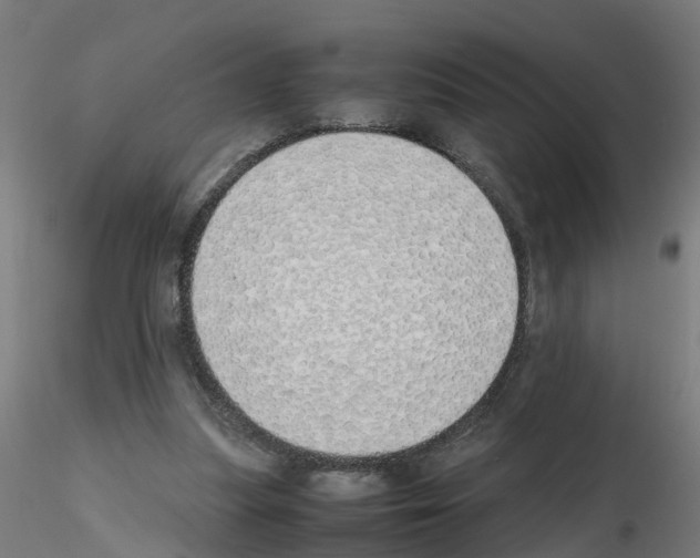 X0000115620251200912221234