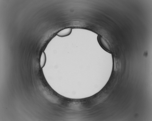 X0000115620252200912221234