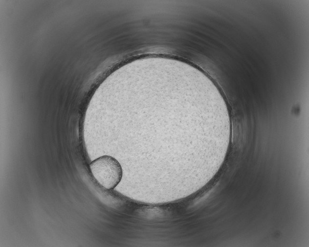 X0000115620253200912221234