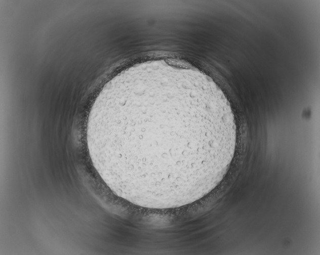 X0000115620255200912221234