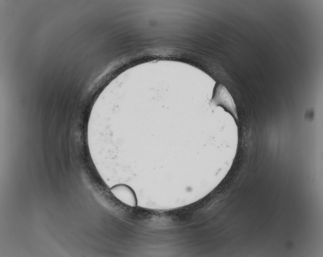 X0000115620256200912221234