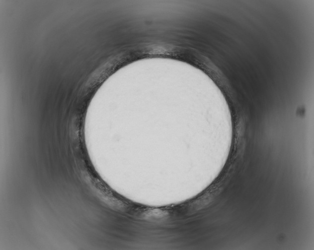 X0000115620257200912221234