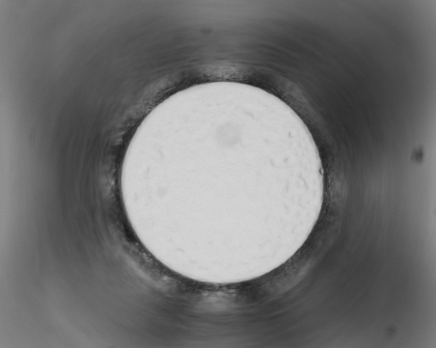 X0000115620259200912221234
