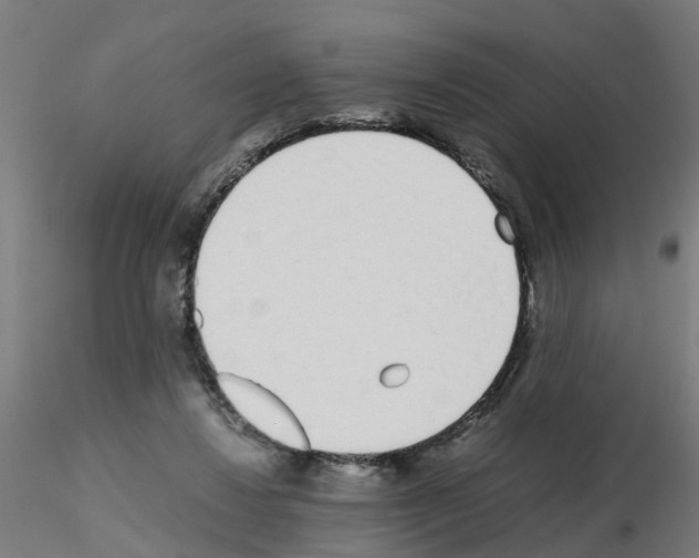 X0000115620260200912221234
