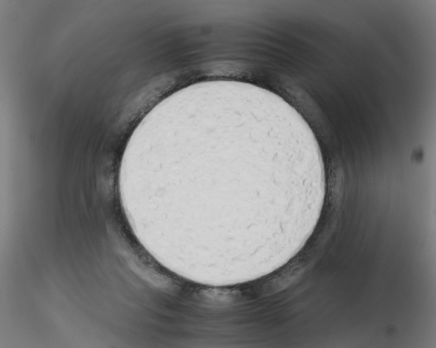 X0000115620261200912221234