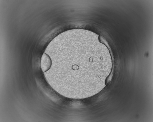 X0000115620262200912221234