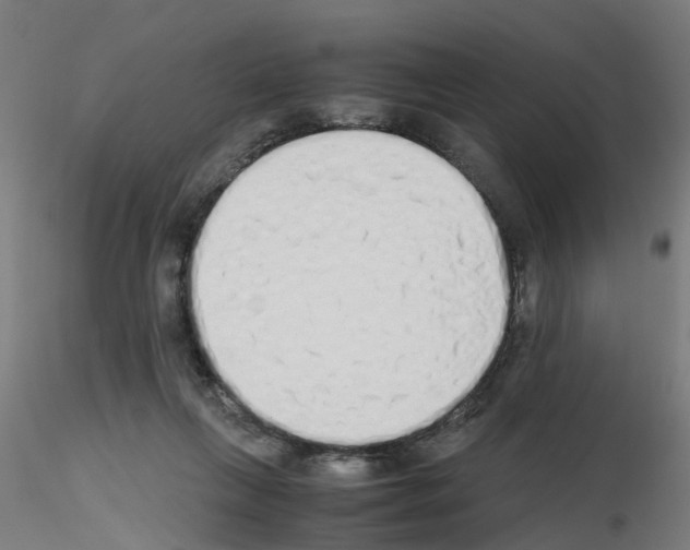 X0000115620263200912221234