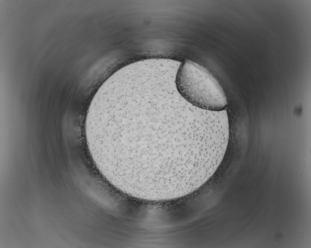 X0000115620264200912221234