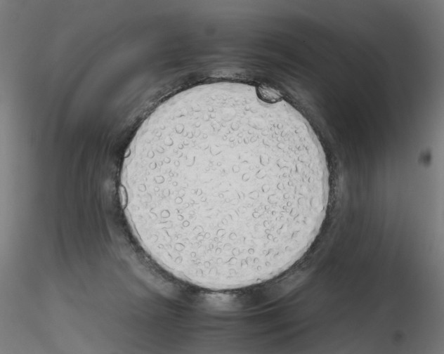 X0000115620265200912221234
