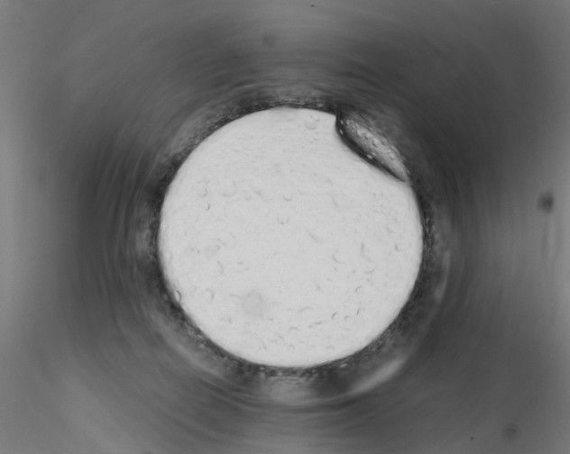 X0000115620266200912221234