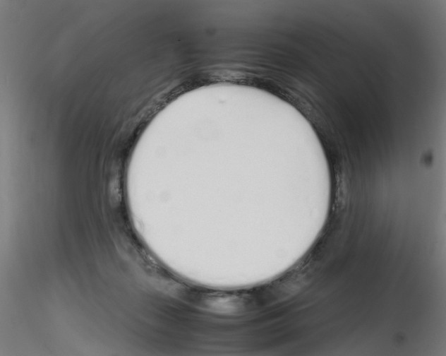 X0000115620267200912221234