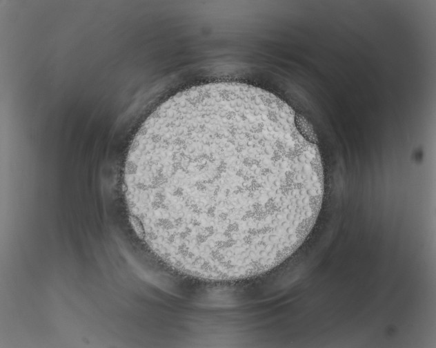 X0000115620268200912221234