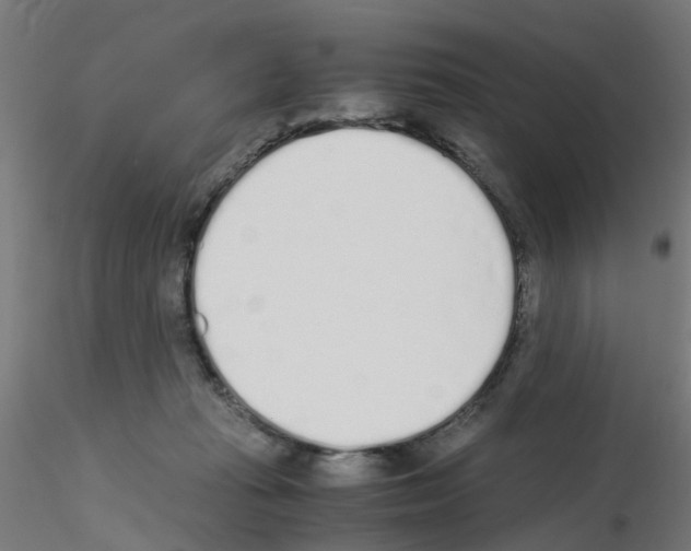 X0000115620269200912221234