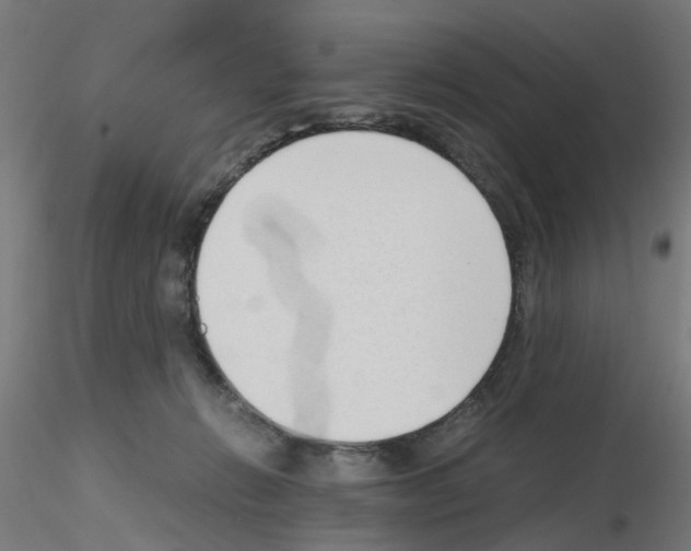 X0000115620270200912221234