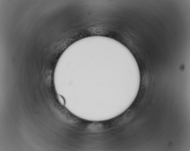 X0000115620271200912221234