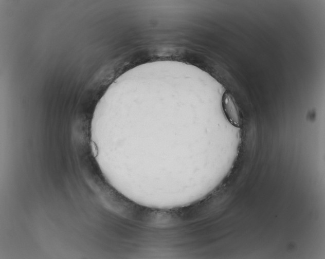 X0000115620272200912221234
