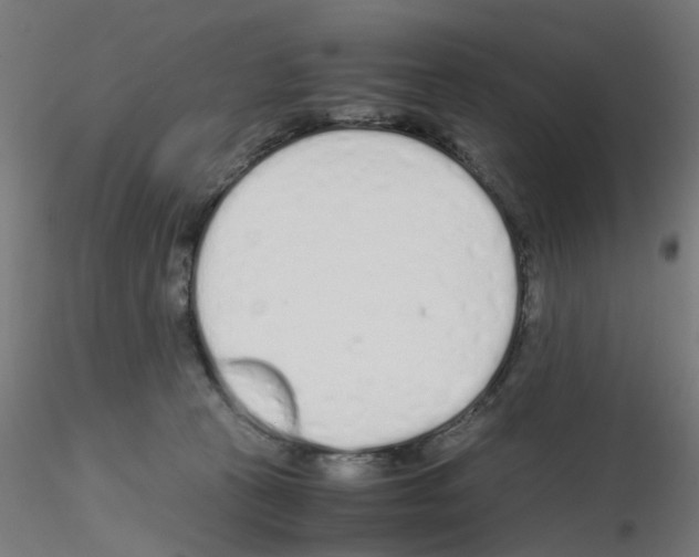 X0000115620273200912221234
