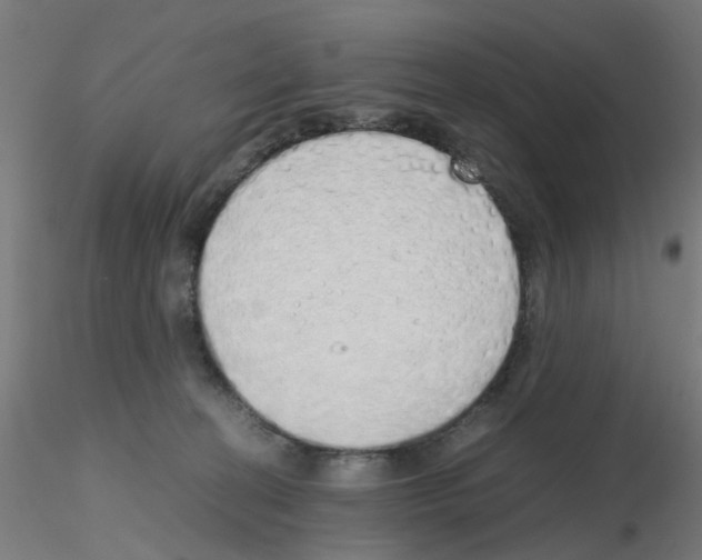 X0000115620274200912221234