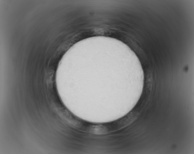 X0000115620275200912221234
