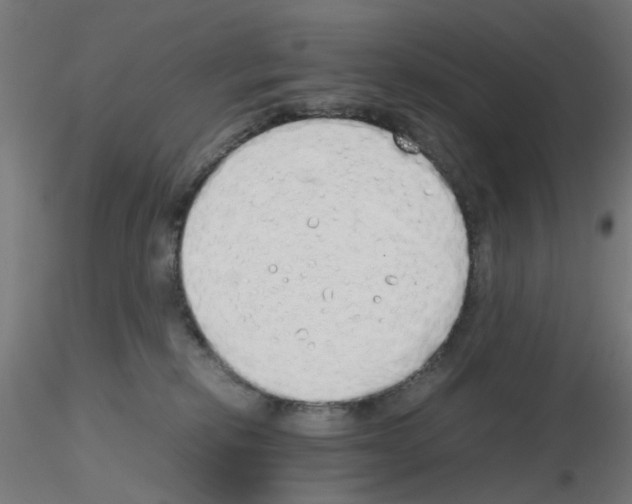 X0000115620278200912221234