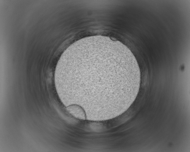 X0000115620279200912221234