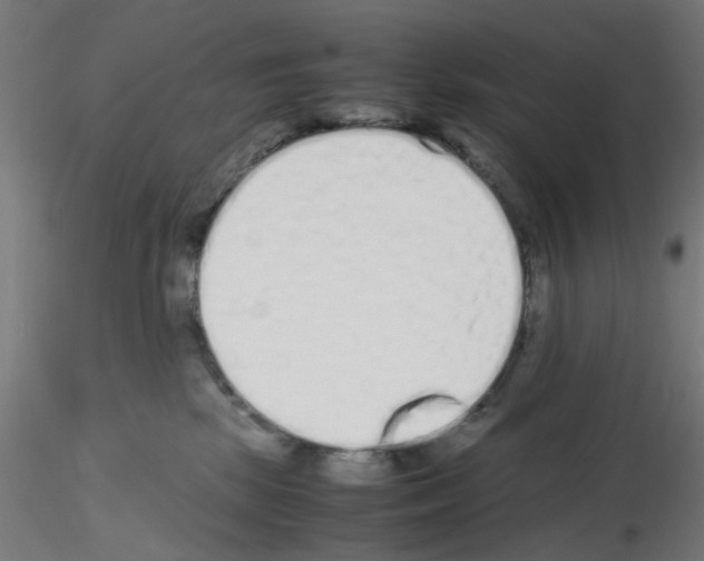 X0000115620281200912221234