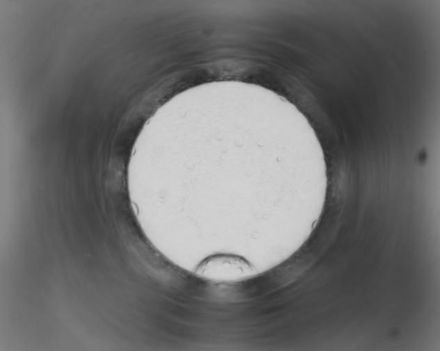 X0000115620283200912221234