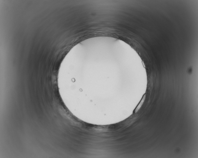 X0000115620284200912221234